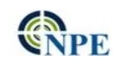Npe Pumps Private Limited